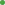 Punto verde
